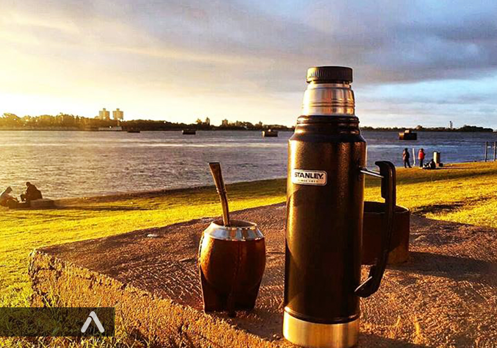 Mate Sport