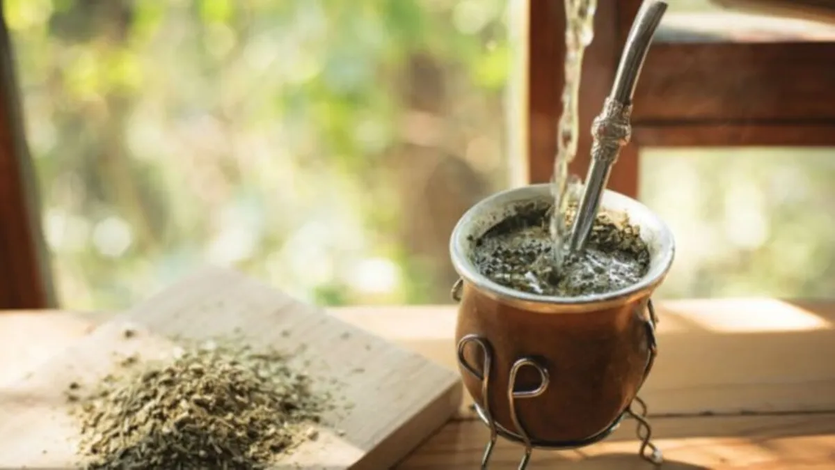 Mate hongo compacto viaje