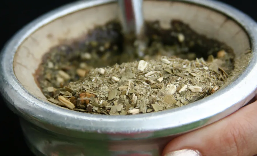 Mate selección premium exportación madera