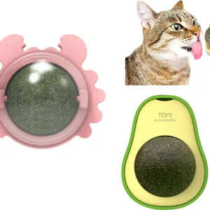 Palta Cono Redondo Catnip Pega Pared