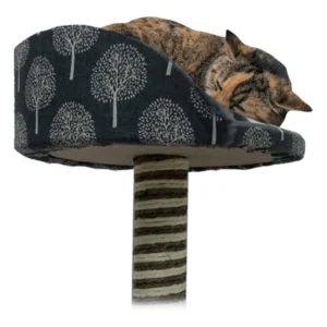 Rascador Plataforma Con Silla