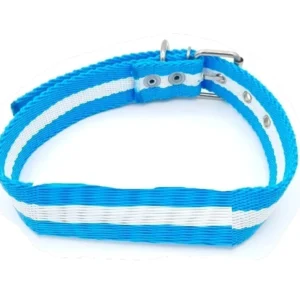 Collar Argentina Pp Argentina Mundial 2026