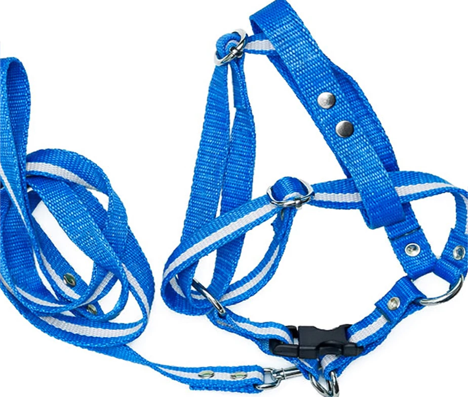 Conjunto Argentina Collar Correa | Mundial 2026 - Image 3