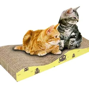 4999 Rascador Carton Doble