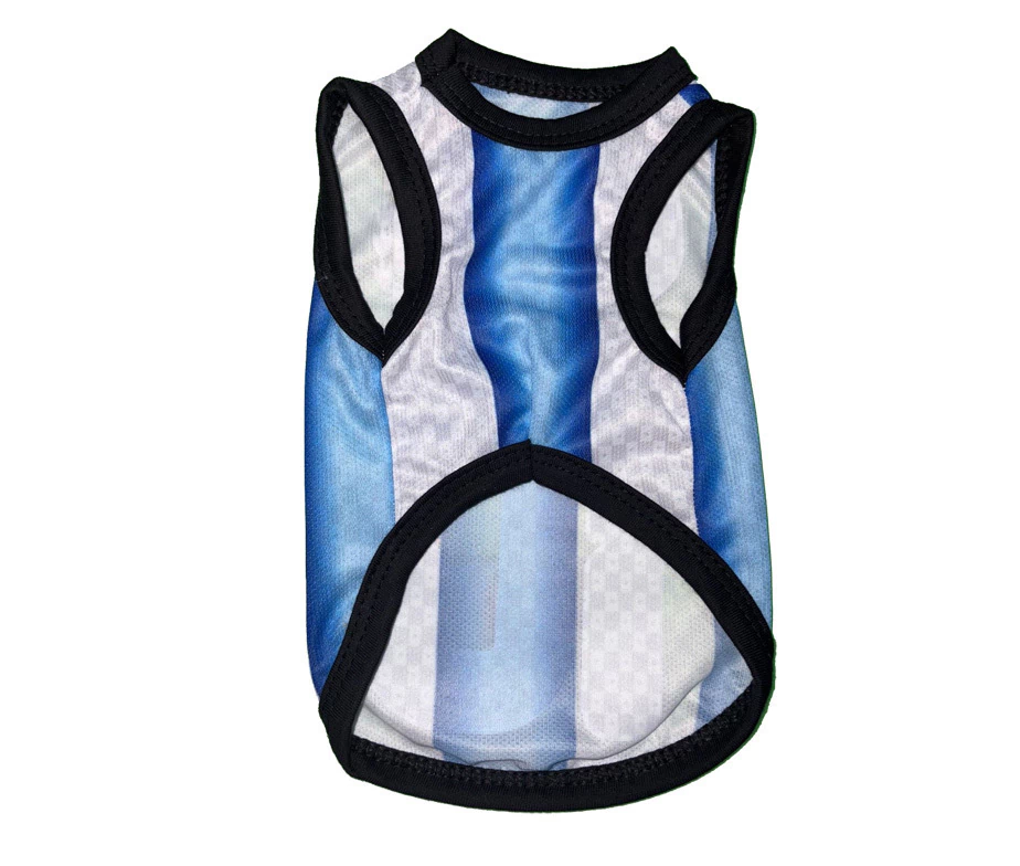Remera Argentina Estampada | Mundial 2026 - Image 2
