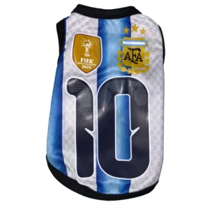Remera Argentina Estampada Argentina Mundial 2026