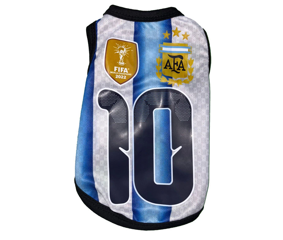 Remera Argentina Estampada Argentina Mundial 2026