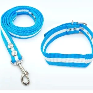 Conjunto Argentina Collar Correa Argentina Mundial 2026