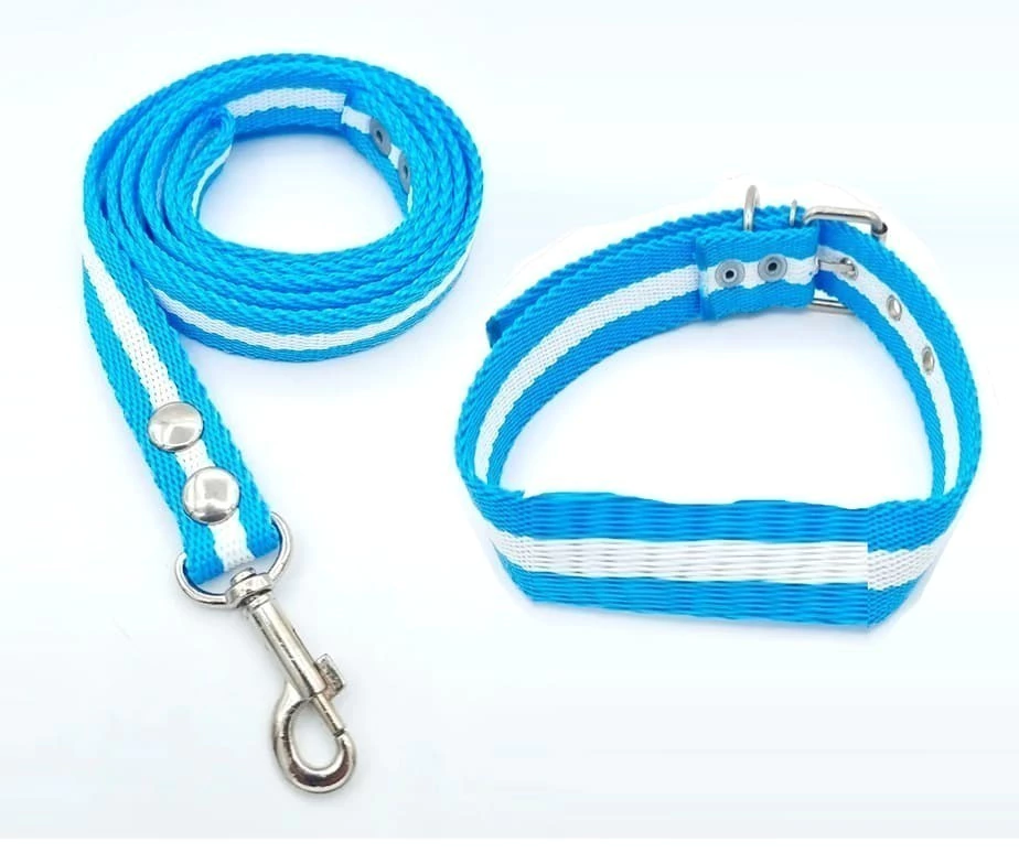 Conjunto Argentina Collar Correa Argentina Mundial 2026