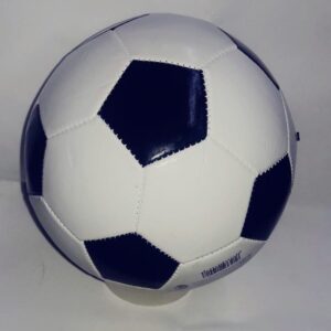 Pelota de Futbol