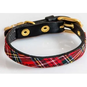 Collar Animal Print Grande para Perros