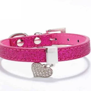 Collar Brillos Mediano para Perros