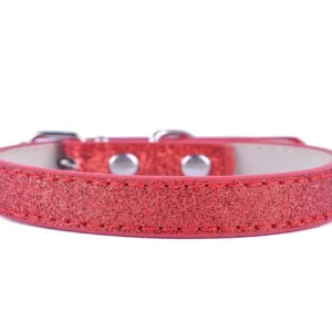 Collar Brillos Grande para Perros