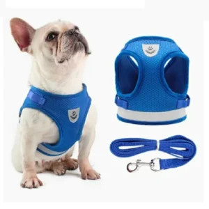 Pretal Con Correa Talle S para Perros