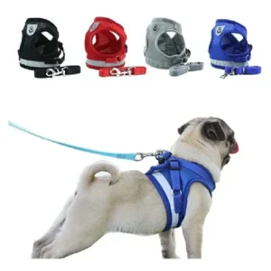 Pretal Con Correa Talle M para Perros