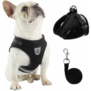 Pretal Con Correa Talle L para Perros