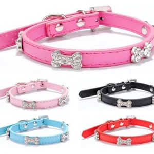 Collar Huesitos Metal Chico para Perros