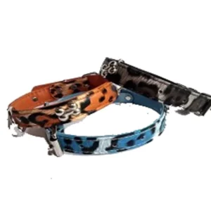 Collar Fluo Chico para Perros