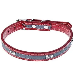 Collar Fluo Mediano para Perros
