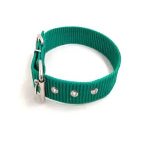 Collar Pitbull Mediano para Perros