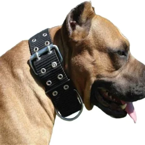 Collar Pitbull Gigante para Perros