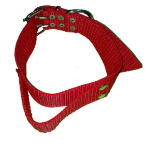 Collar Pitbull Con Manija para Perros
