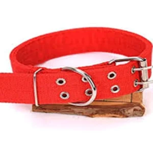 Collar N6 Pp 0.4*67 para Perros