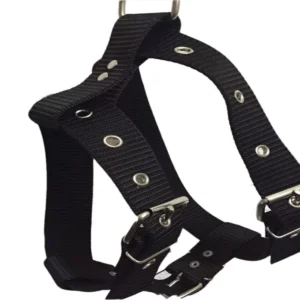 Arnes Extra Jumbo Regulable para Perros
