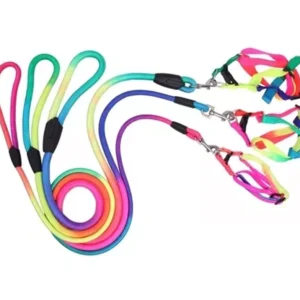 Pretal Cinta Fluo Mediano Con Correa 1.5 para Perros