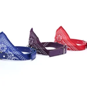 Collar Pañuelo Jumbo para Perros