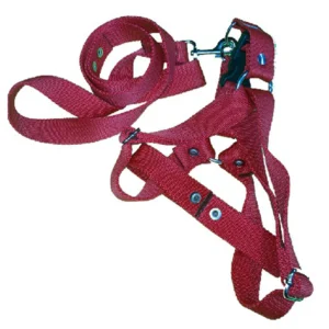 Pretal Regulable N4 Con Correa para Perros