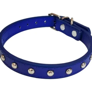 Collar Cuerina 10 Puntos Chico para Perros