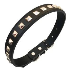 Collar Cuerina 15 Tachas Mediano para Perros