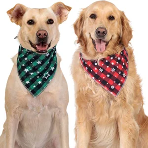 Bandana Con Collar Regulable Chico para Perros