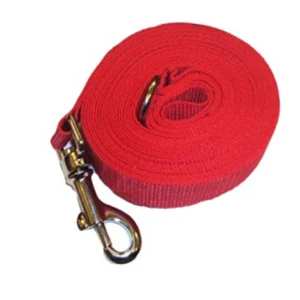 Correa De Adiestramiento 6 Mts X 2,5 para Perros