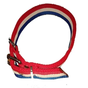Collar Pp Doble Grande Color para Perros