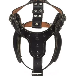 Pechera Jumbo Cuero para Perros
