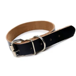 Collar Cuero Chico #20 para Perros