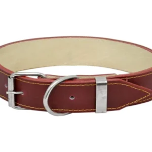 Collar Cuero Jumbo #50 para Perros