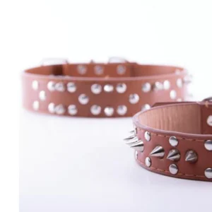 Collar Cuerina 12 Tachas Grande para Perros