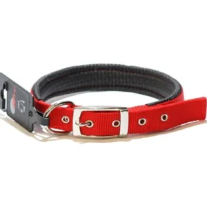 Collar Acolchado Mediano para Perros