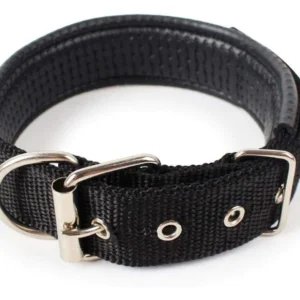 Collar Acolchado Grande para Perros