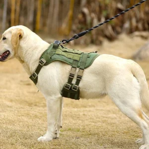 Pretal L Antitiron Tactico - De Trabaj para Perros