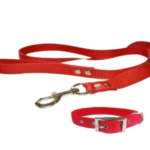 Conjunto Collar Correa N1 para Perros