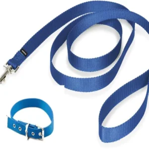 Conjunto Collar Correa N3 para Perros