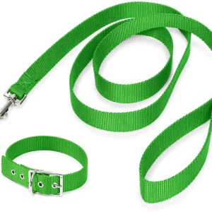 Conjunto Collar Correa N4 para Perros