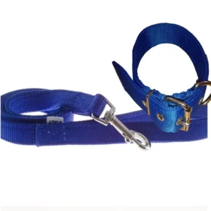 Conjunto Collar Correa Reforzada para Perros