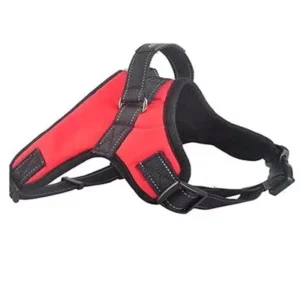 Arnes Cazador L para Perros
