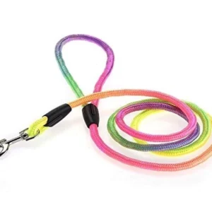 Correa Fluo Multicolor Grande para Perros