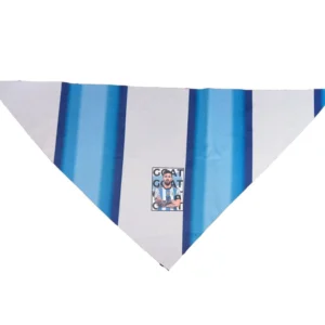 Pañuelo Argentina Argentina Mundial 2026